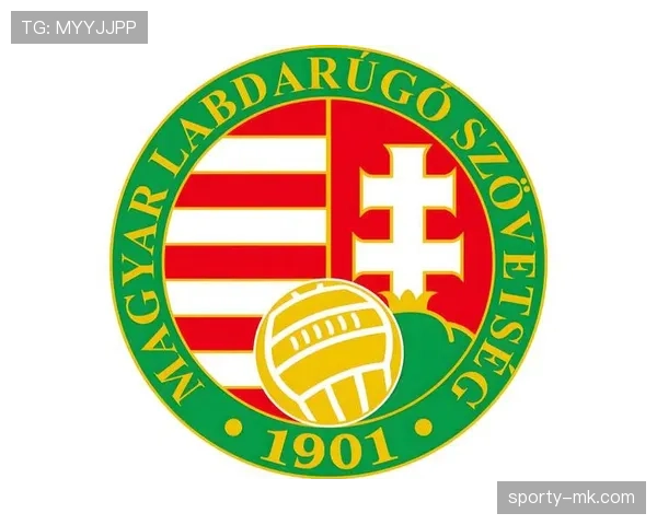 匈牙利在欧预赛保持不败 展现强劲竞争力引发关注