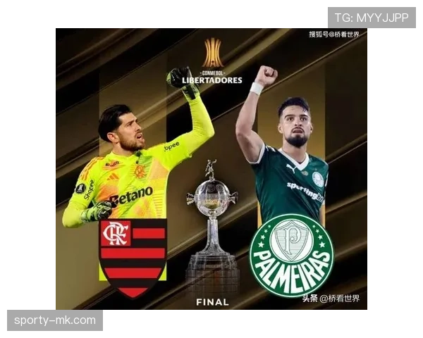 南美解放者杯最新赛况与积分榜